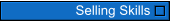 leadership-seminars-selling-skills
